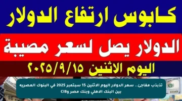 تذبذب مفاجئ.. سعر الدولار اليوم الإثنين 15 سبتمبر 2025 في البنوك المصرية بين البنك الأهلي وبنك مصر وCIB